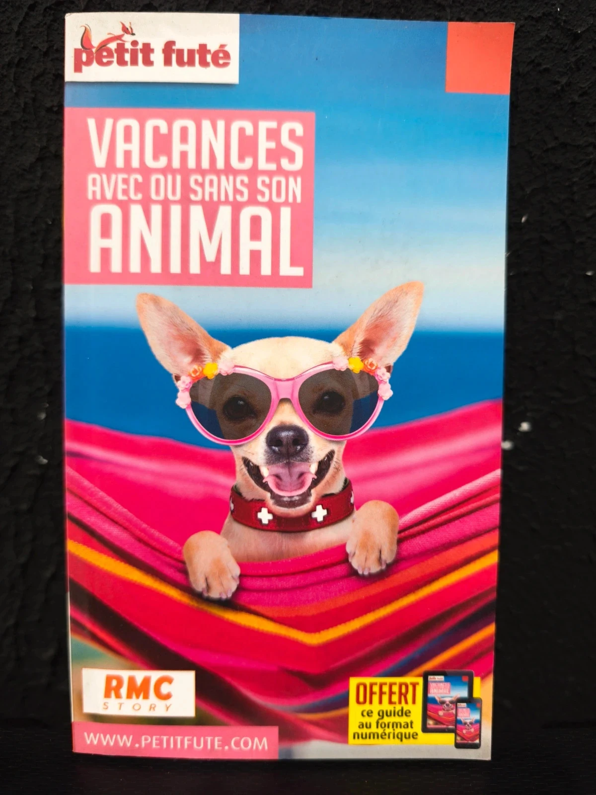 Vacances avec ou sans son animal